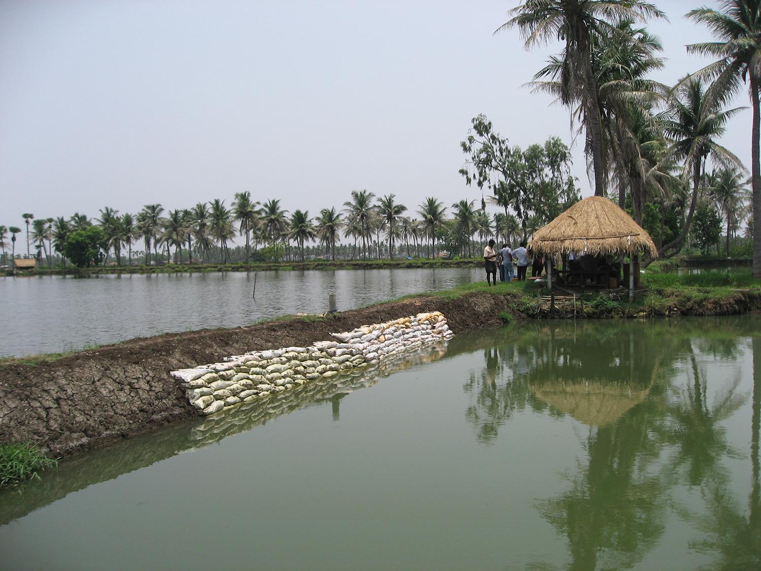 Aquaculture