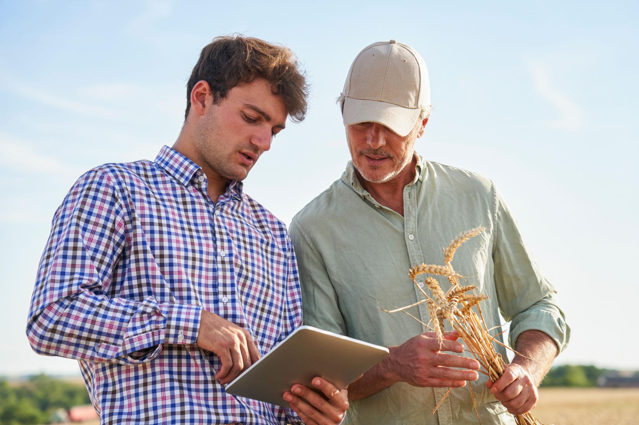 Crop Assessment