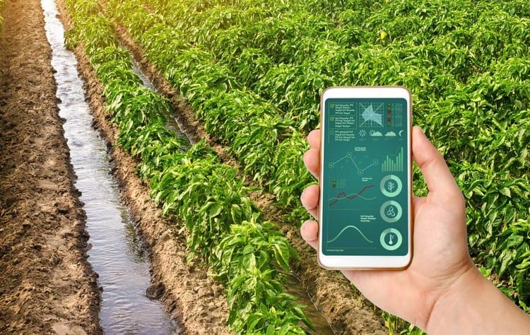Eco Friendly Farming