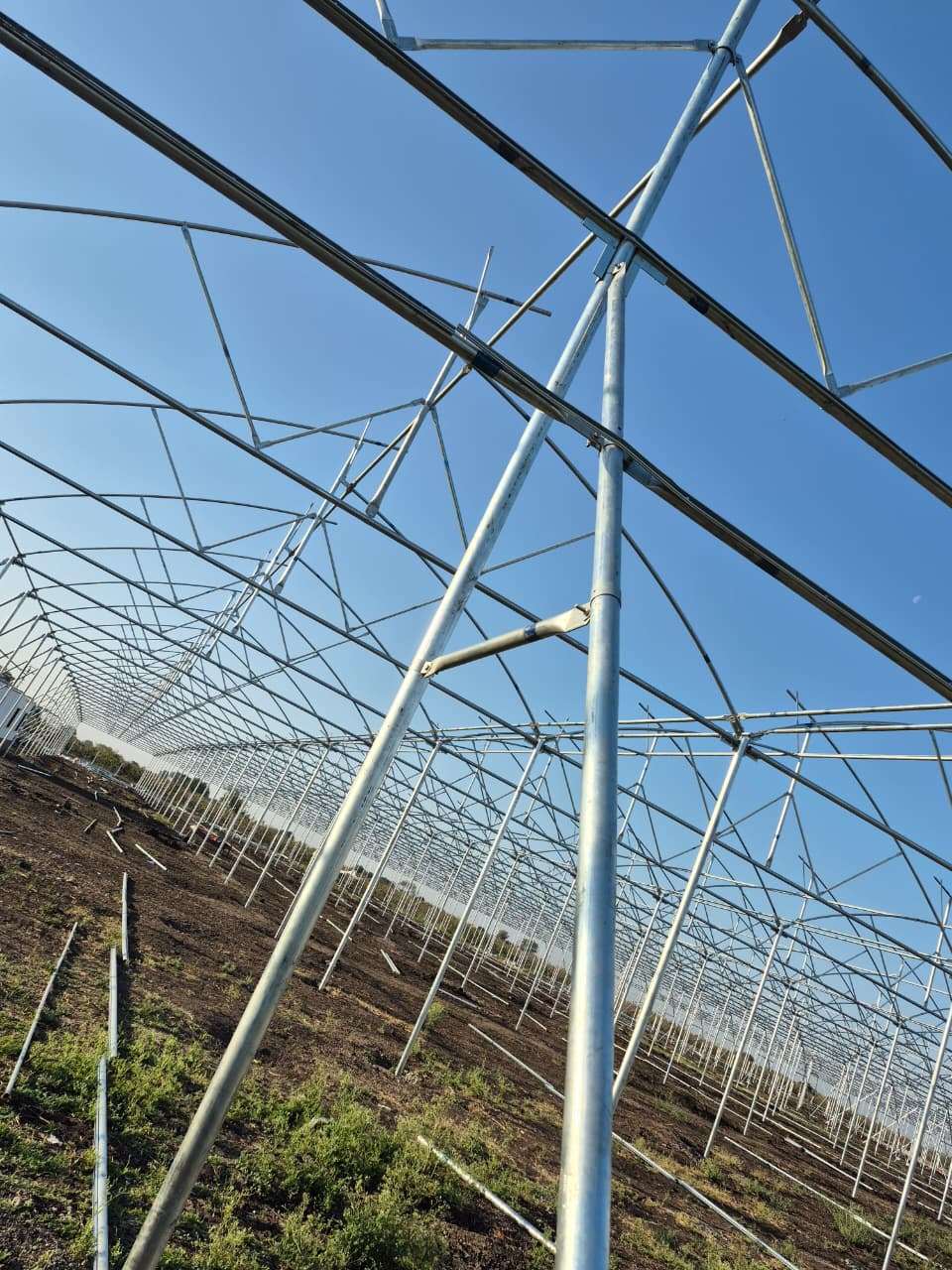 Large-Scale Polyhouse Project