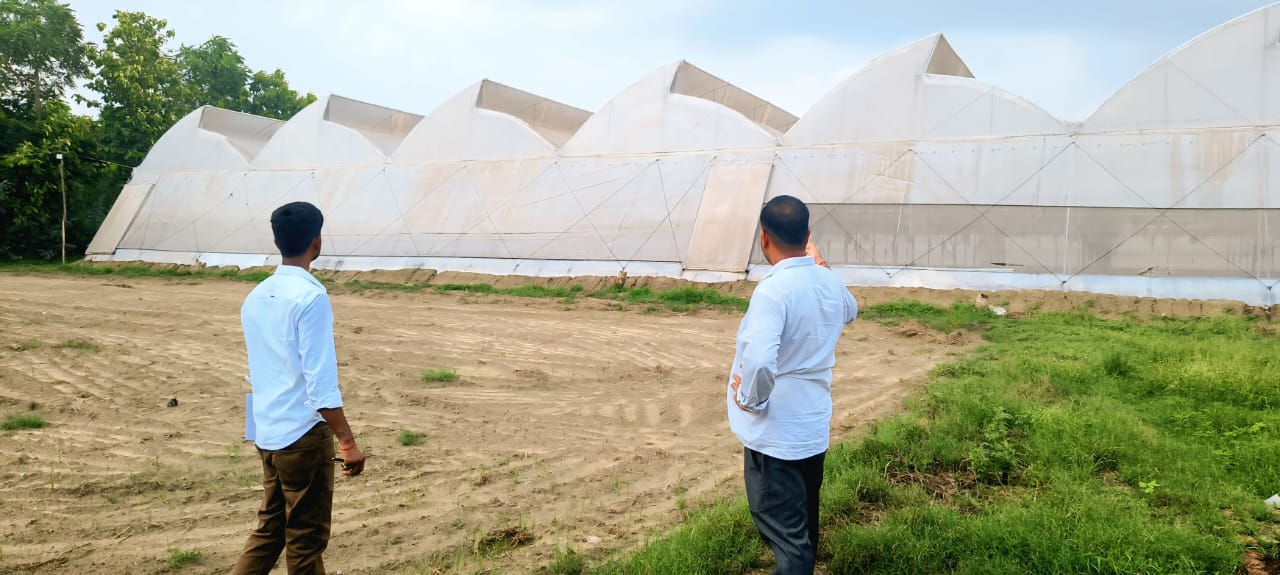 Large-Scale Polyhouse Project