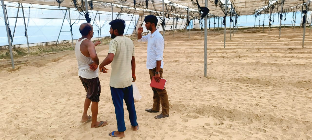 Large-Scale Polyhouse Project