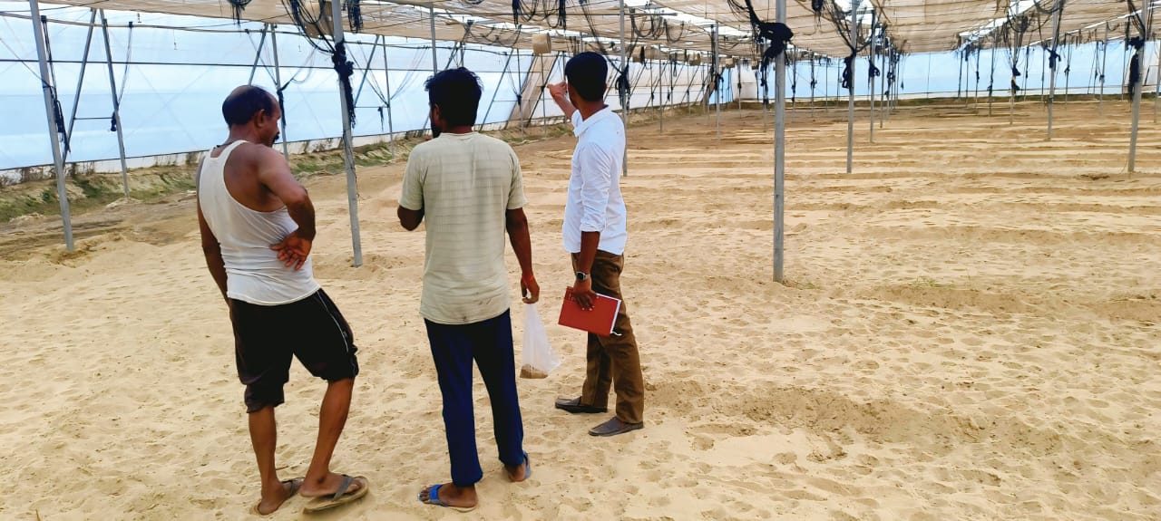 Large-Scale Polyhouse Project