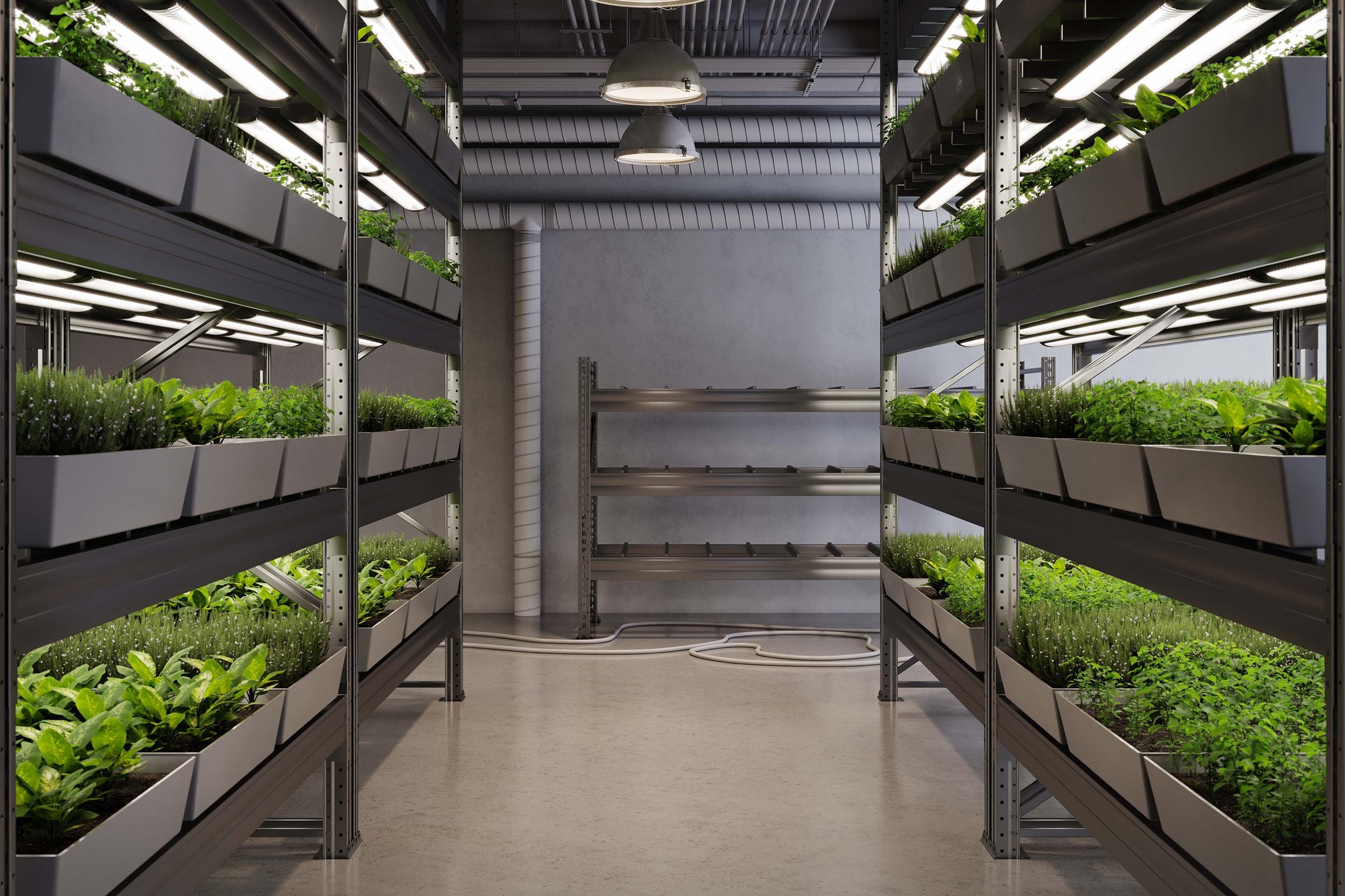 Vertical Farming